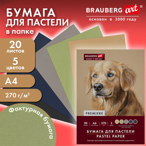 Бумага для пастели ФАКТУРНАЯ А4 в папке, 20 листов 5 цветов, 270 г/м2, BRAUBERG ART, 117755