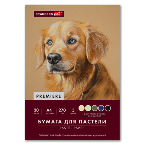 Бумага для пастели ФАКТУРНАЯ, А4, в папке, 20 листов, 5 цветов, 270 г/м2, BRAUBERG ART, 117755