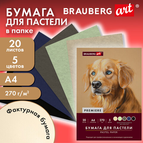 Бумага для пастели ФАКТУРНАЯ, А4, в папке, 20 листов, 5 цветов, 270 г/м2, BRAUBERG ART, 117755 - фото 4