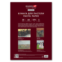 Бумага для пастели ФАКТУРНАЯ, А4, в папке, 20 листов, 5 цветов, 270 г/<wbr/>м<sup>2</sup>, BRAUBERG ART, 117755