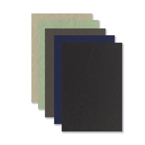 Бумага для пастели ФАКТУРНАЯ, А4, в папке, 20 листов, 5 цветов, 270 г/м2, BRAUBERG ART, 117755 - фото 2