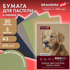 Бумага для пастели ФАКТУРНАЯ, А3, в папке, 20 листов, 5 цветов, 270 г/м2, BRAUBERG ART, 117756