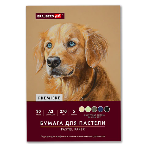 Бумага для пастели ФАКТУРНАЯ, А3, в папке, 20 листов, 5 цветов, 270 г/м2, BRAUBERG ART, 117756