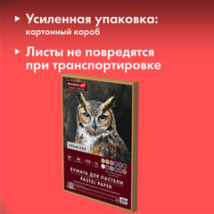 Бумага для пастели ФАКТУРНАЯ, А4, в коробке, 36 листов, 12 цветов, 270 г/м2, BRAUBERG ART, 117759