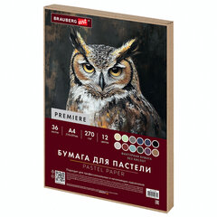 Бумага для пастели ФАКТУРНАЯ, А4, в коробке, 36 листов, 12 цветов, 270 г/м2, BRAUBERG ART, 117759