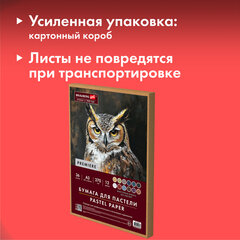 Бумага для пастели ФАКТУРНАЯ, А3, в коробке, 36 листов, 12 цветов, 270 г/м2, BRAUBERG ART, 117760
