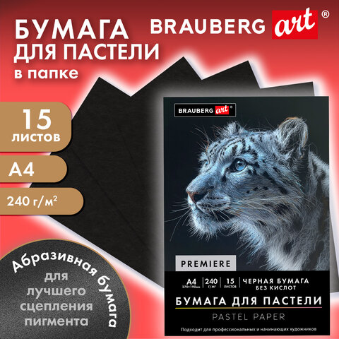 Бумага для пастели АБРАЗИВНАЯ А4 в папке, 15 листов, ЧЕРНАЯ, 240 г/м2, BRAUBERG ART, 117765 - фото 3