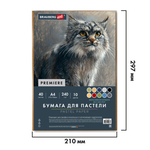 Бумага для пастели АБРАЗИВНАЯ А4 в коробке, 40 листов, 10 цветов, 240 г/м2, BRAUBERG ART, 117767 - фото 3