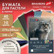 Бумага для пастели АБРАЗИВНАЯ А3, 270х380 мм, в коробке, 40 листов, 10 цветов, 240 г/м2, BRAUBERG ART, 117768