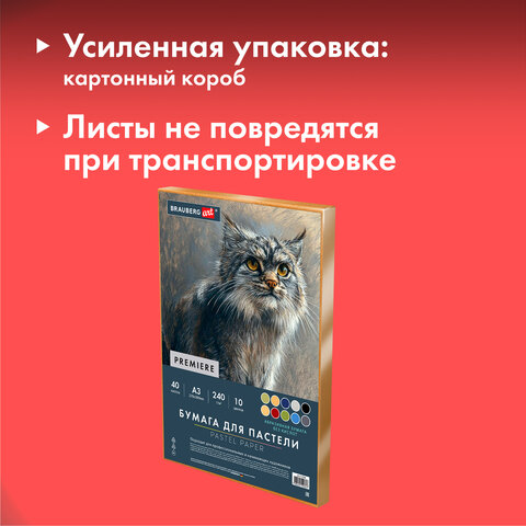 Бумага для пастели АБРАЗИВНАЯ А3 в коробке, 40 листов 10 цветов, 240 г/м2, BRAUBERG ART, 117768 - фото 5