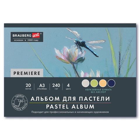 ������ ��� ������� ���������� �3, ������ (�������), 20 ������, 4 �����, 240 �/�2, BRAUBERG ART, 117770 �����