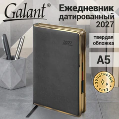 Ежедневник датированный 2027, А5, 148х218 мм, GALANT "Infinity Gold", под кожу, серый, 118062