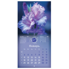 Календарь настенный перекидной 2027 г., BRAUBERG, 12 листов, 28,5&times;57 см, &laquo;Floral&raquo;, 118425