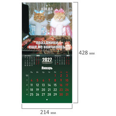 Календарь настенный перекидной 2027 г., BRAUBERG, 12 листов, 21,4&times;42,8 см, МИНИ, &laquo;Vibe meme&raquo;, 118438