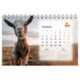 Календарь-домик настольный на гребне, 2027 г., BRAUBERG, 160х110 мм, 6 листов, "Символ года", 118460