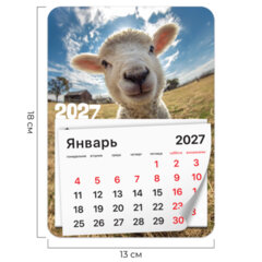 Календарь отрывной на магните на 2027 г., BRAUBERG, 130&times;180 мм, склейка, &laquo;Символ года&raquo;, 118484