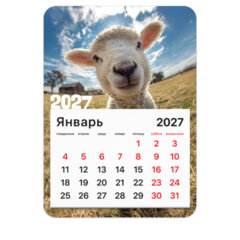 Календарь отрывной на магните на 2027 г., BRAUBERG, 130&times;180 мм, склейка, &laquo;Символ года&raquo;, 118484