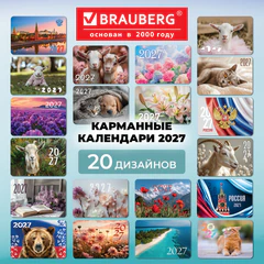 Календарь карманный на 2027 г, BRAUBERG, 64х93 мм, АССОРТИ, 20 дизайнов (60 штук), 118489