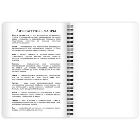 Дневник читательский А5, 58 листов, гребень, пластиковая обложка, картон, BRAUBERG, "МИКС", 118528 - фото 10