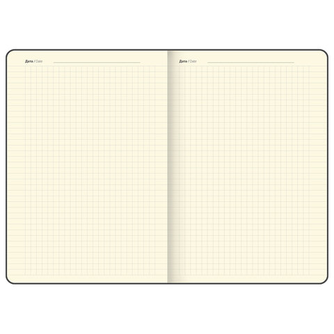 Блокнот А5, 148x218 мм, BRAUBERG "Optimal", под кожу, 80 листов, резинка, держатель для ручки, клетка, бежевый, 118636 - фото 9