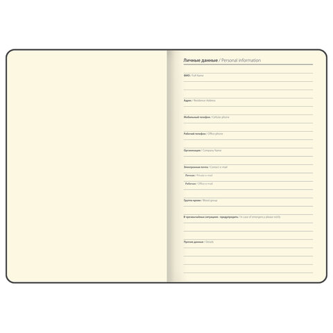 Блокнот А5, 148x218 мм, BRAUBERG "Optimal", под кожу, 80 листов, резинка, держатель для ручки, клетка, серый, 118638 - фото 8