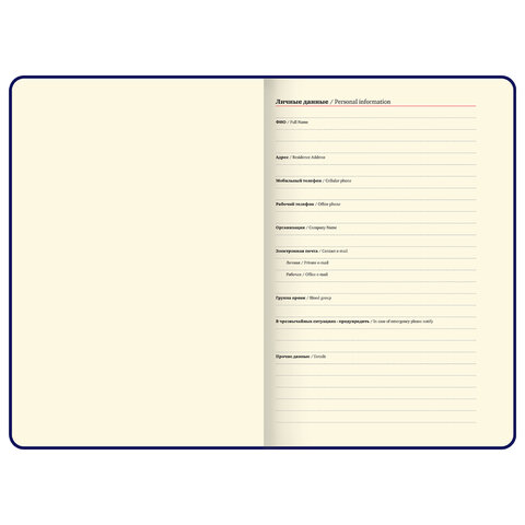 Ежедневник недатированный А5, 148x218 мм, BRAUBERG "Optimal", под кожу, 160 листов, резинка, держатель для ручки, красный, 118641 - фото 8