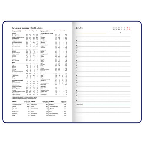 Ежедневник недатированный А5, 148x218 мм, BRAUBERG "Inspiration", под кожу, застежка, цветной срез, 160 листов, синий, 118649 - фото 13