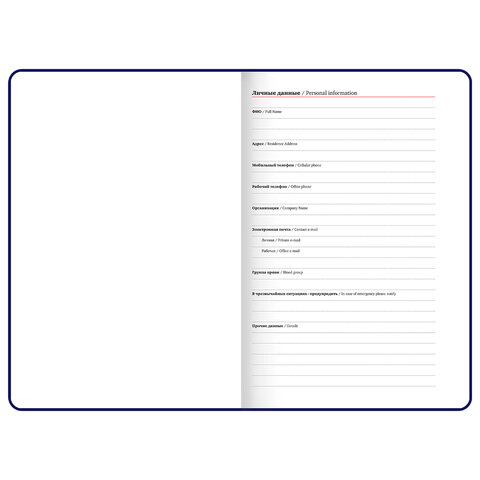 Ежедневник недатированный А5, 148x218 мм, BRAUBERG "Inspiration", под кожу, застежка, цветной срез, 160 листов, бирюзовый, 118651 - фото 9