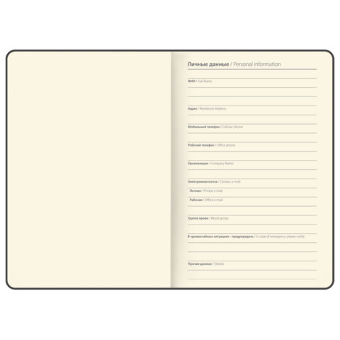 Блокнот B6, 130x185 мм, BRAUBERG "Stellar", под кожу, 80 листов, фольга, резинка, клетка, розовый, 118654 - фото 6