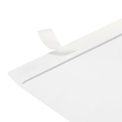Конверты С4 (229&times;324 мм), отрывная лента, 80 г/<wbr/>м<sup>2</sup>, КОМПЛЕКТ 250 шт., внутренняя запечатка, STAFF, 118669