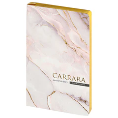 Набор подарочный BRUNO VISCONTI &laquo;CARRARA&raquo; (ежедневник А5, ручка) под кожу, фольга, золотой срез, 3-743/<wbr/>11-2