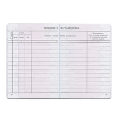 Бланк документа &laquo;Вкладыш в трудовую книжку&raquo;, 88&times;125 мм, ГОЗНАК