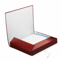 Папка для бумаг архивная А4 (225&times;310 мм), 30 мм, 2 завязки, бумвинил, до 250 листов, 120253