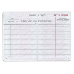 Бланк документа &laquo;Трудовая книжка&raquo;, 88&times;125 мм, ГОЗНАК