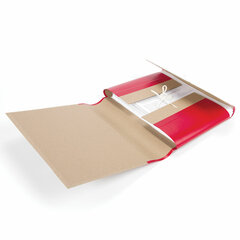 Папка для бумаг архивная А4 (225&times;310 мм), 80 мм, 4 завязки, крафт, корешок &mdash; бумвинил, 123203