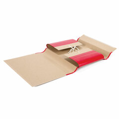 Папка для бумаг архивная А4 (225&times;310 мм), 80 мм, 4 завязки, крафт, корешок &mdash; бумвинил, 123203