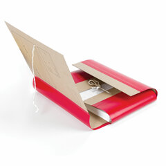 Папка для бумаг архивная А4 (225&times;310 мм), 120 мм, 4 завязки, крафт, корешок &mdash; бумвинил, 123204