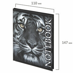 Блокнот МАЛЫЙ ФОРМАТ 110&times;147 мм, А6, 80 л., твердый, клетка, выборочный лак, BRAUBERG, &laquo;Тигровый&raquo;, 123244
