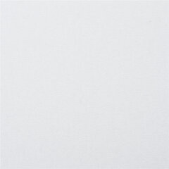 Картон белый А4 МЕЛОВАННЫЙ (белый оборот), 25 листов, BRAUBERG, 210&times;297 мм, 124021