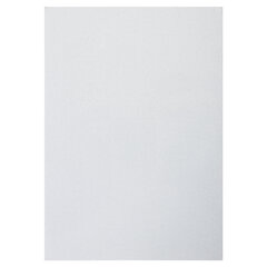 Картон белый А4 МЕЛОВАННЫЙ (белый оборот), 25 листов, BRAUBERG, 210&times;297 мм, 124021