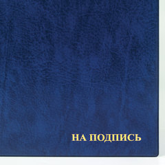 Папка адресная ПВХ &laquo;НА ПОДПИСЬ&raquo;, формат А4, увеличенная вместимость до 100 листов, синяя, &laquo;ДПС&raquo;, 2032.Н-101