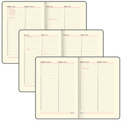 Ежедневник недатированный А5, 138&times;213 мм, BRAUBERG &laquo;Iguana&raquo; под кожу, 160 л., черный, 125089