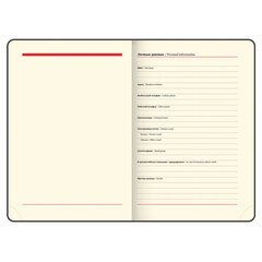 Ежедневник недатированный А5, 138&times;213 мм, BRAUBERG &laquo;Iguana&raquo; под кожу, 160 л., черный, 125089