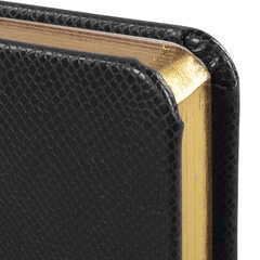 Ежедневник недатированный МАЛЫЙ ФОРМАТ А6, 100&times;150 мм, BRAUBERG &laquo;Iguana&raquo;, кожзам, 160 л., черный, 125104