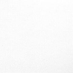 Бумага для акварели БОЛЬШАЯ А2, 10 л., 200 г/<wbr/>м<sup>2</sup>, 400&times;590 мм, BRAUBERG, &laquo;Цветы&raquo;, 125223