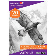 Папка для рисования БОЛЬШОГО ФОРМАТА А3, 20 л., 160 г/<wbr/>м<sup>2</sup>, BRAUBERG, 297&times;420 мм, &laquo;Орел&raquo;, 125228
