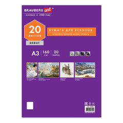 Папка для рисования БОЛЬШОГО ФОРМАТА А3, 20 л., 160 г/<wbr/>м<sup>2</sup>, BRAUBERG, 297&times;420 мм, &laquo;Орел&raquo;, 125228