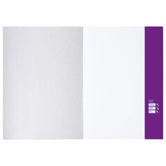 Папка для рисования БОЛЬШОГО ФОРМАТА А3, 20 л., 160 г/<wbr/>м<sup>2</sup>, BRAUBERG, 297&times;420 мм, &laquo;Орел&raquo;, 125228