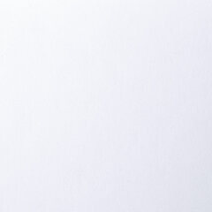 Папка для рисования БОЛЬШОГО ФОРМАТА А3, 20 л., 160 г/<wbr/>м<sup>2</sup>, BRAUBERG, 297&times;420 мм, &laquo;Орел&raquo;, 125228