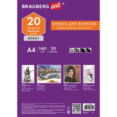 Папка для рисования А4, 20 л., 160 г/<wbr/>м<sup>2</sup>, BRAUBERG, 210&times;297 мм, &laquo;Орел&raquo;, 125230